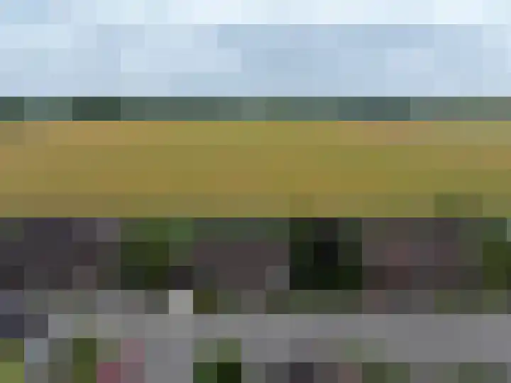 Galjoen 18 Breskens thumbnail 37