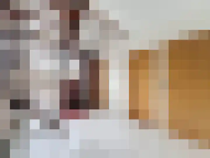 Galjoen 18 Breskens thumbnail 5