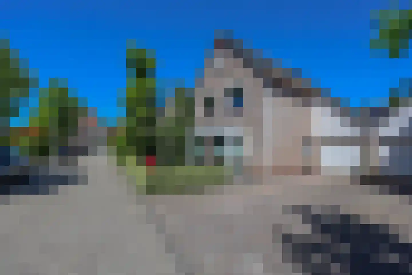 Galjoen 19 14 Lelystad thumbnail 5