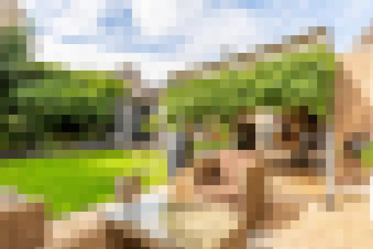 Galjoen 19 28 Lelystad thumbnail 27