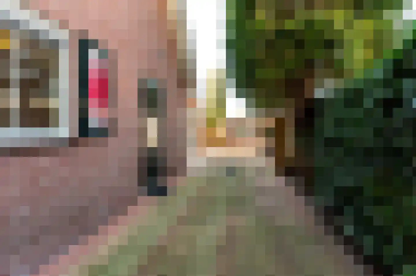 Galjoen 20 23 Lelystad thumbnail 32