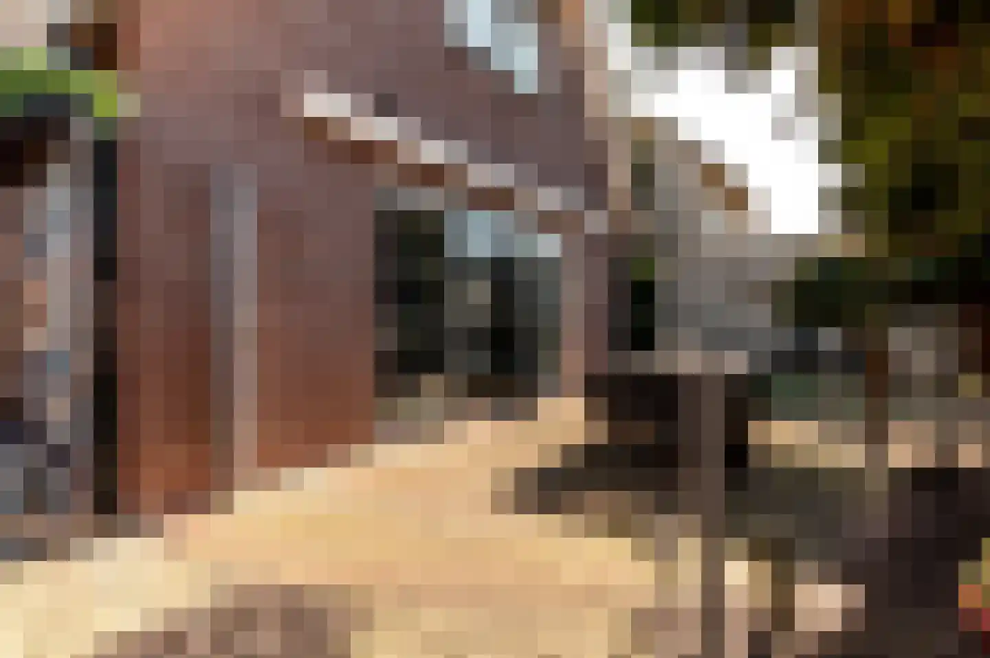 Galjoen 20 23 Lelystad thumbnail 33