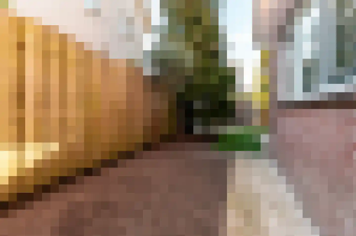 Galjoen 20 23 Lelystad thumbnail 37