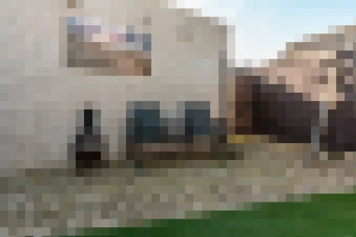 Galjoen 20 23 Lelystad thumbnail 38