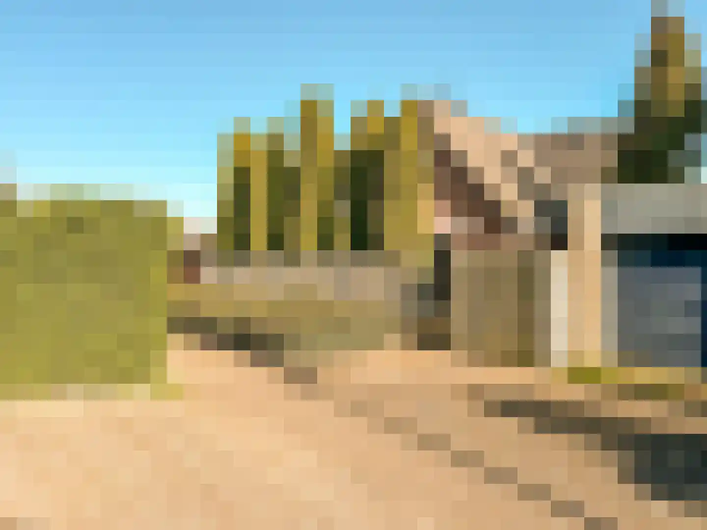 Galjoen 20 23 Lelystad thumbnail 40