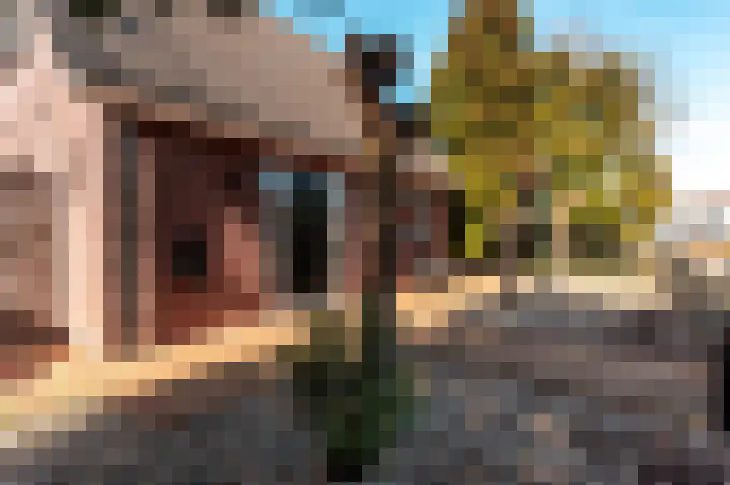 Galjoen 20 23 Lelystad thumbnail 42