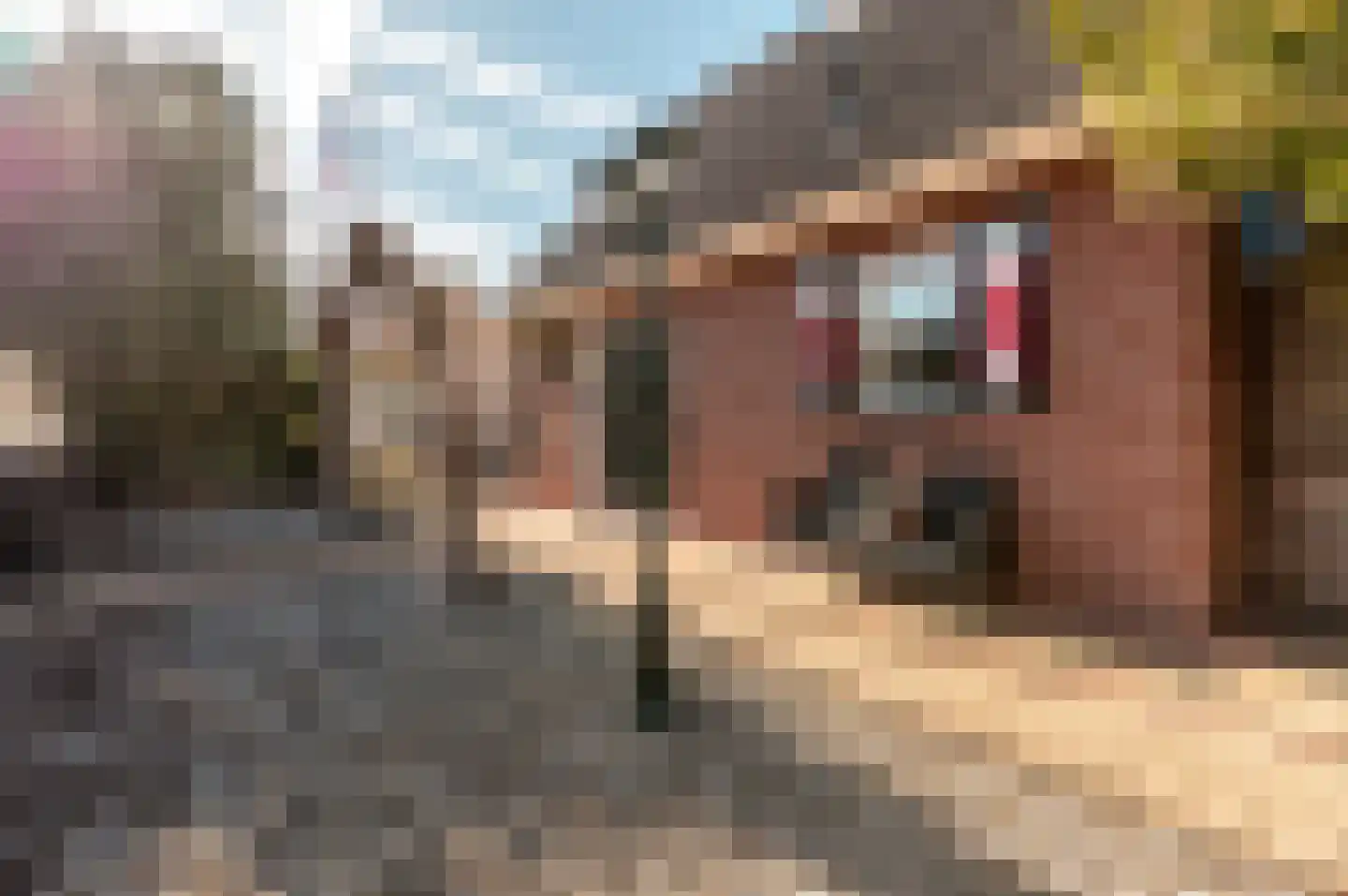Galjoen 20 23 Lelystad thumbnail 43