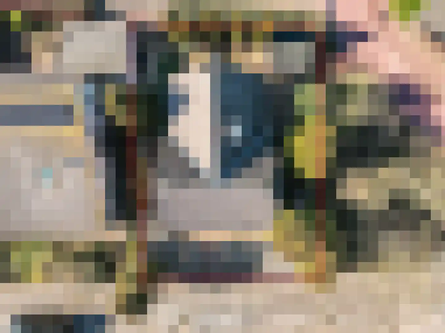 Galjoen 20 23 Lelystad thumbnail 47