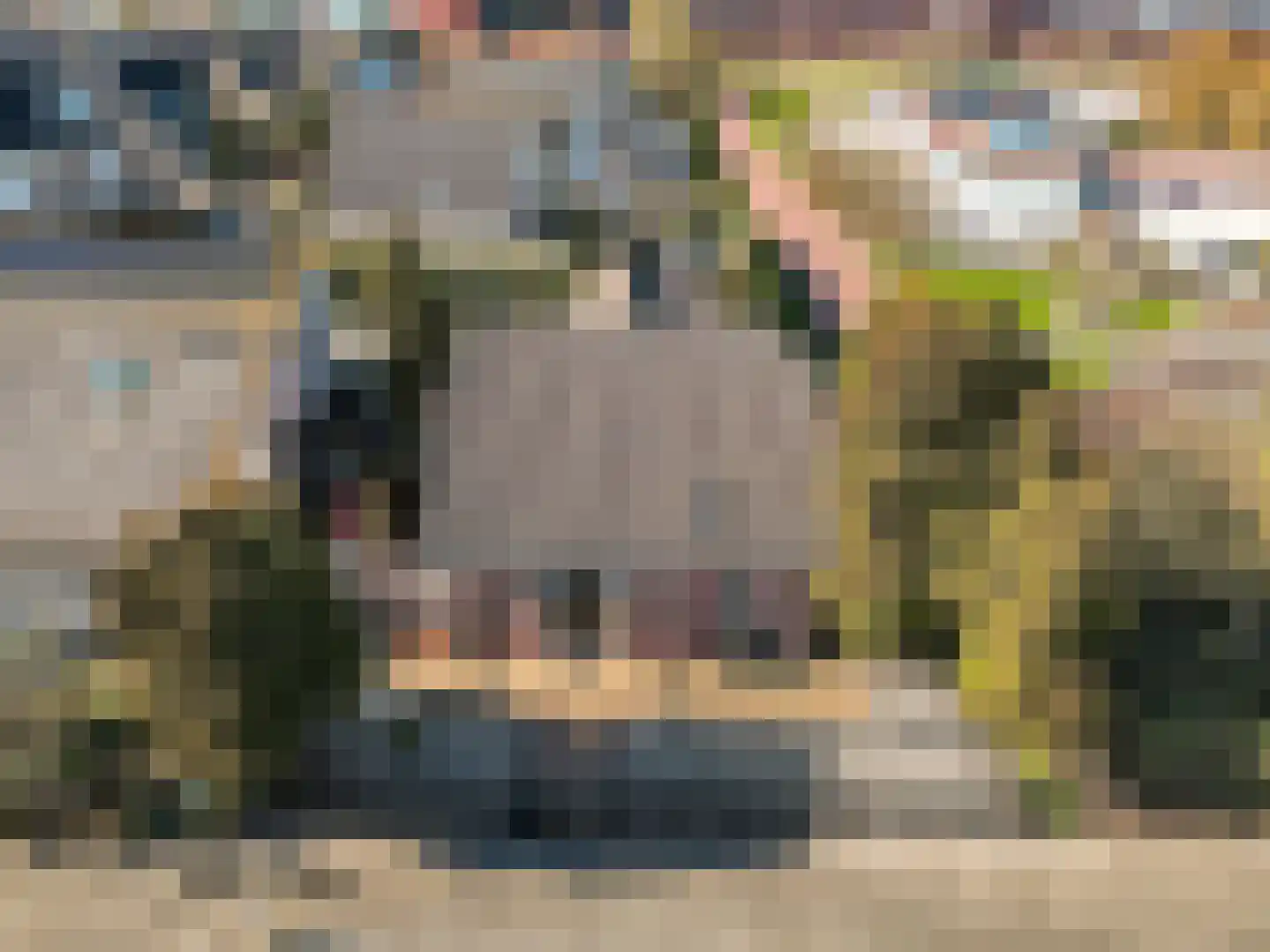 Galjoen 20 23 Lelystad thumbnail 48
