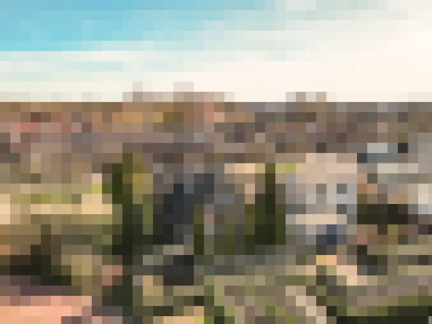 Galjoen 20 23 Lelystad thumbnail 50