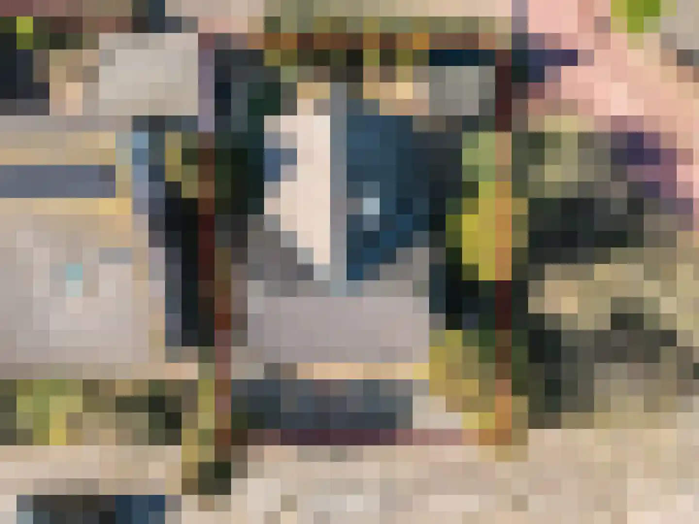 Galjoen 20 23 Lelystad thumbnail 6