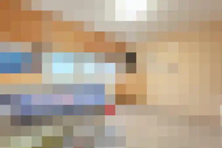 Galjoen 20 45 Lelystad thumbnail 20