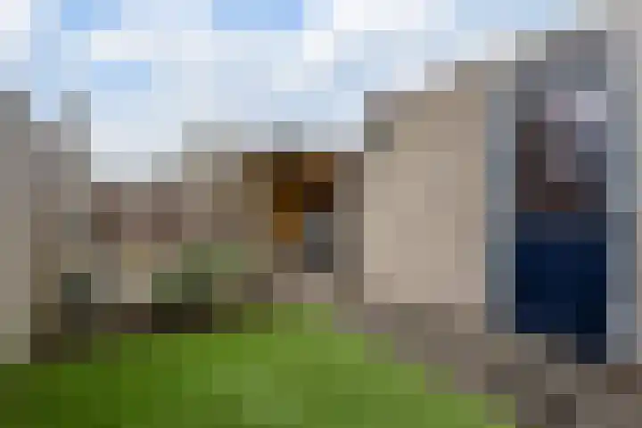 Galjoen 20 45 Lelystad thumbnail 26