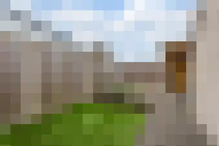 Galjoen 20 45 Lelystad thumbnail 27
