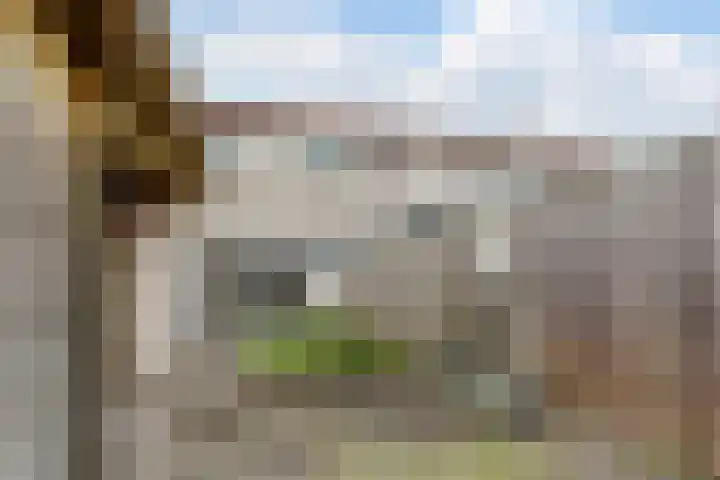 Galjoen 20 45 Lelystad thumbnail 28