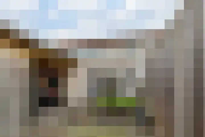 Galjoen 20 45 Lelystad thumbnail 29