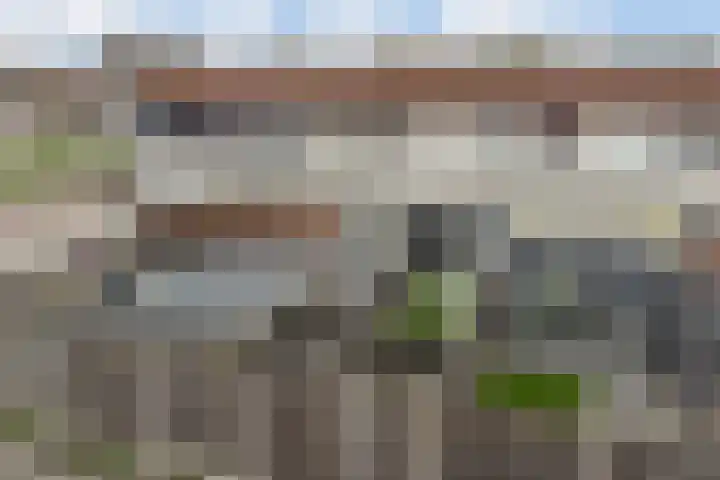 Galjoen 20 45 Lelystad thumbnail 30