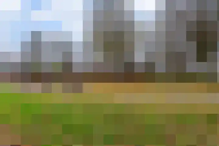 Galjoen 20 45 Lelystad thumbnail 31