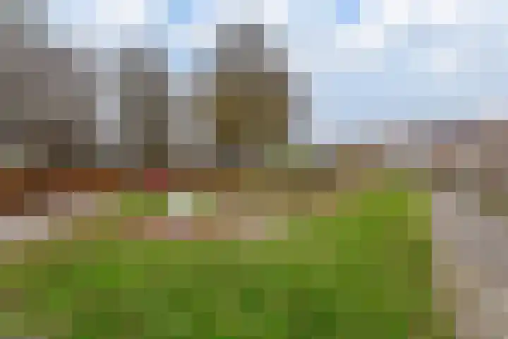 Galjoen 20 45 Lelystad thumbnail 32