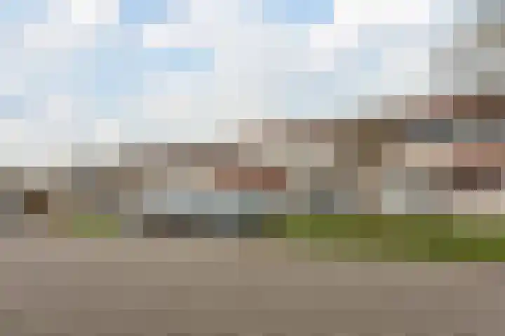 Galjoen 20 45 Lelystad thumbnail 5
