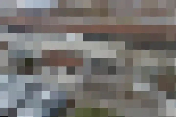 Galjoen 20 45 Lelystad thumbnail 6