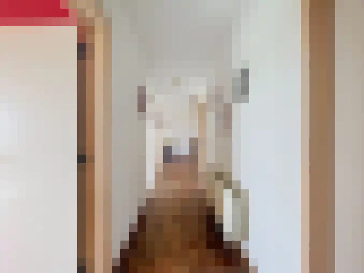 Galjoen 20 Breskens thumbnail 11
