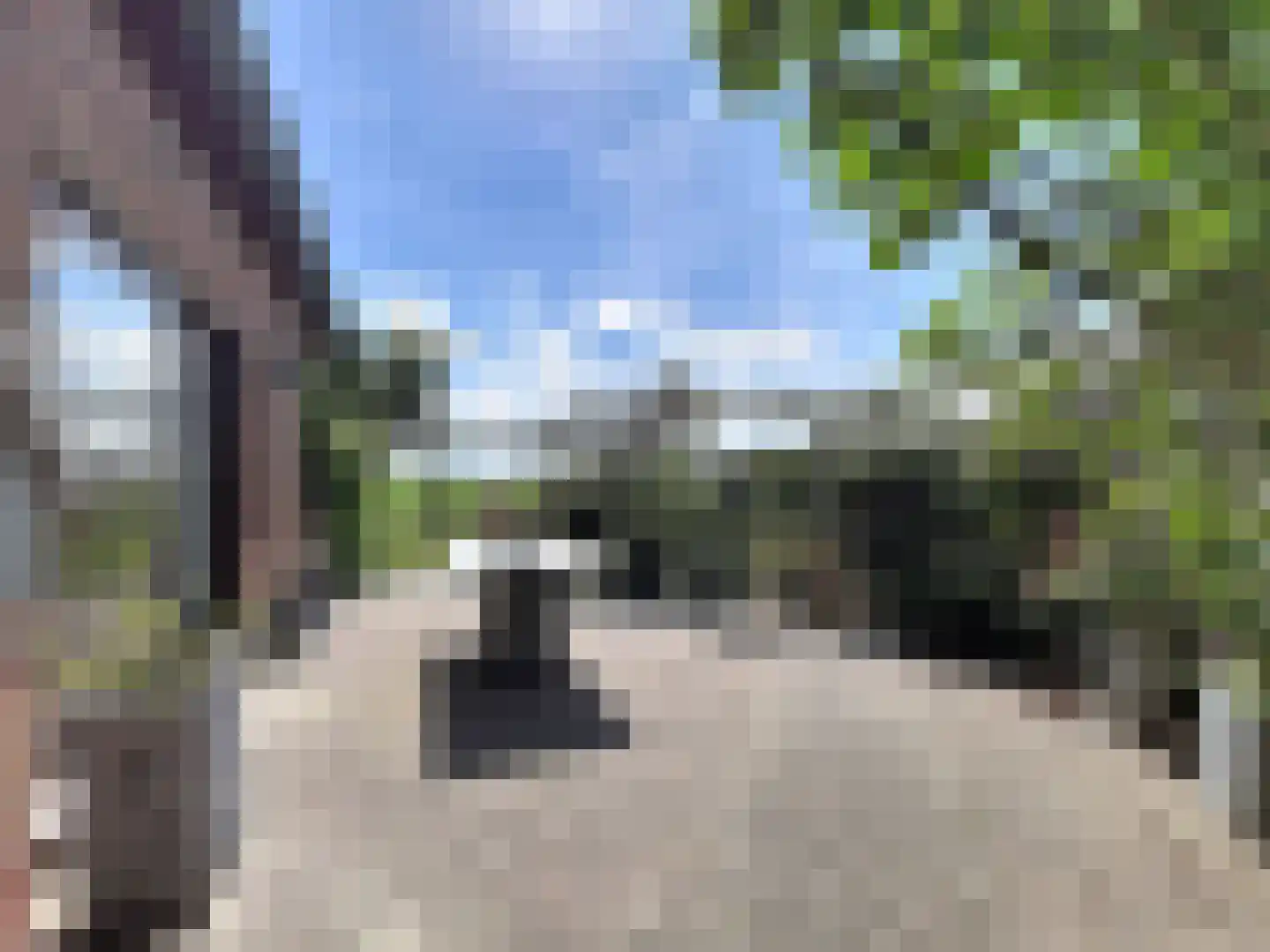 Galjoen 20 Breskens thumbnail 28