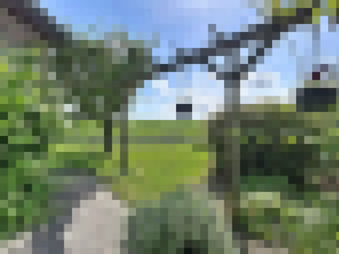 Galjoen 20 Breskens thumbnail 30