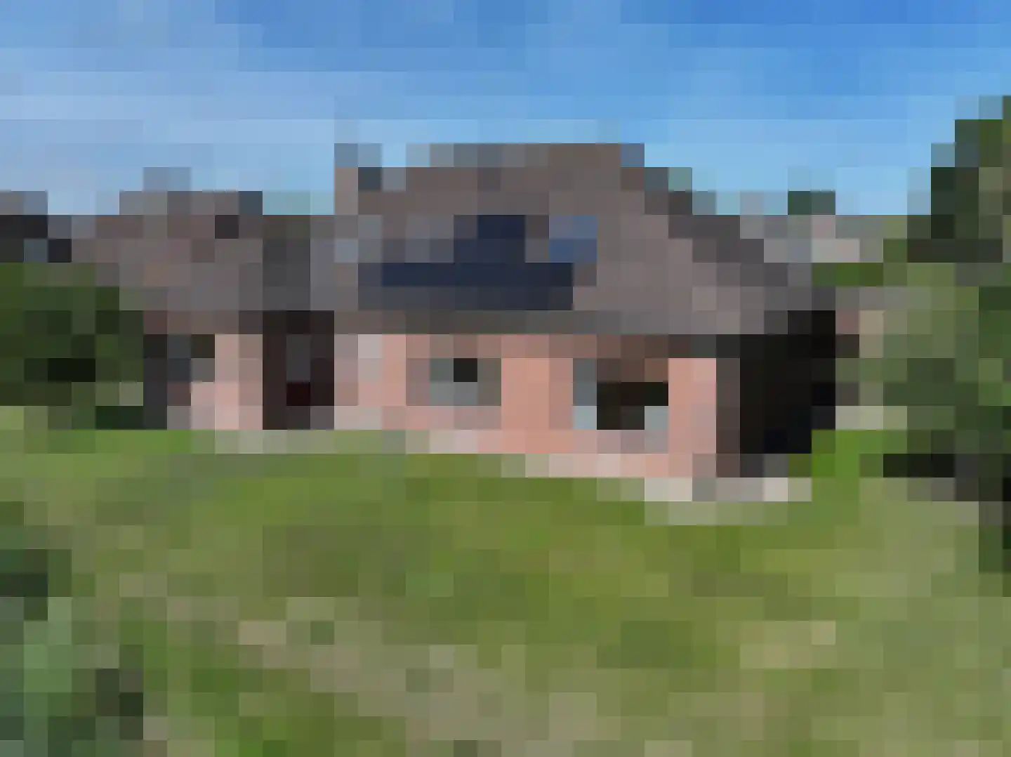 Galjoen 20 Breskens thumbnail 31