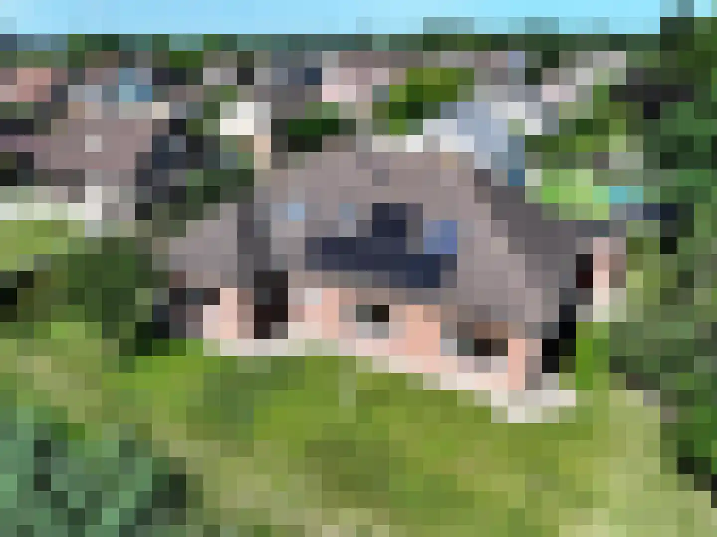Galjoen 20 Breskens thumbnail 32
