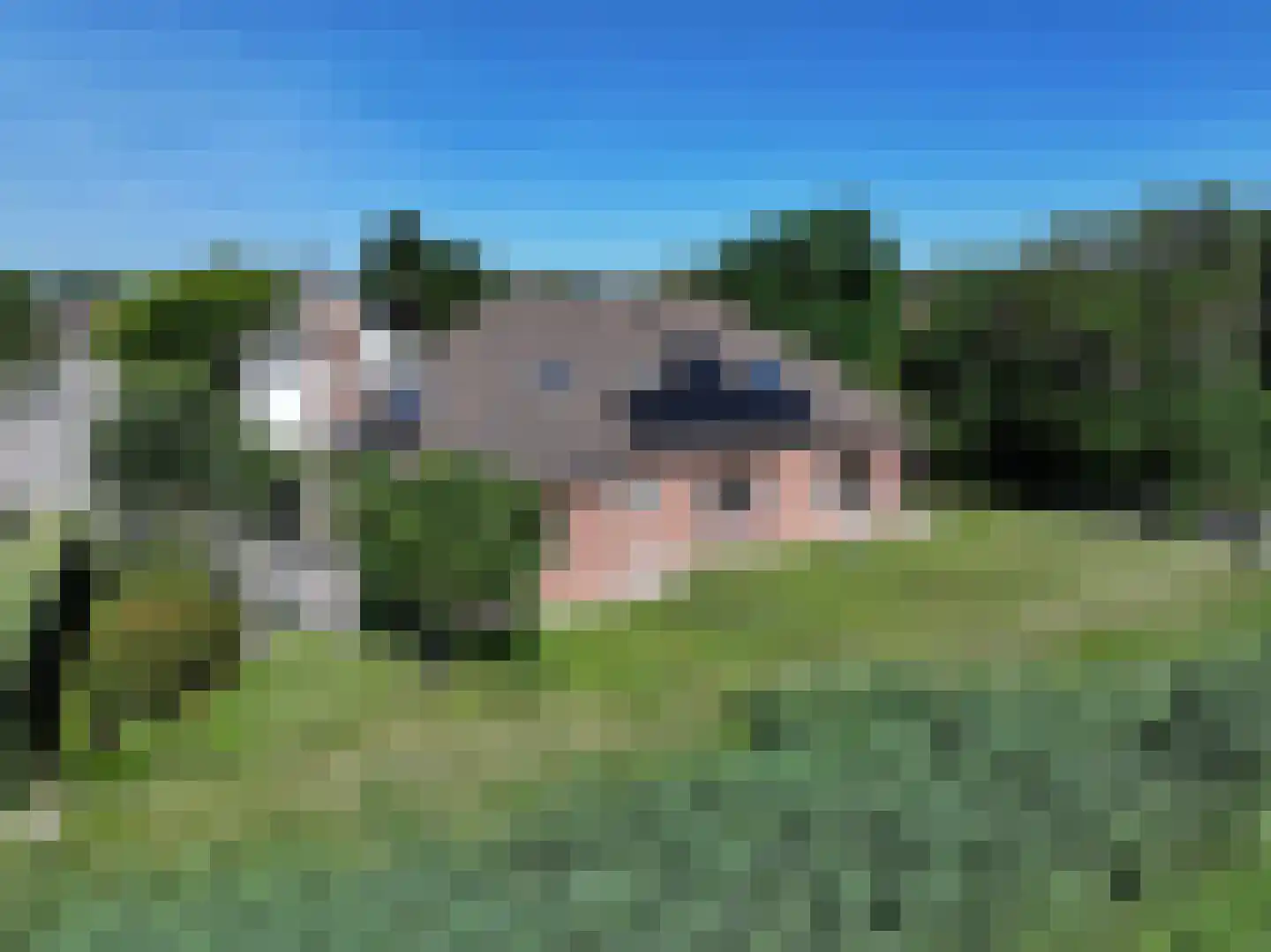 Galjoen 20 Breskens thumbnail 33