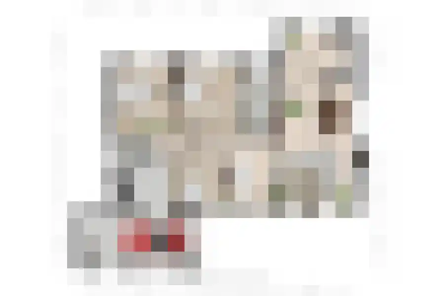 Galjoen 20 Breskens thumbnail 37