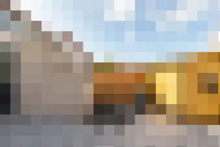 Galjoen 22 13 Lelystad thumbnail 22