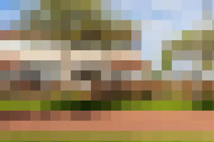 Galjoen 22 13 Lelystad thumbnail 25