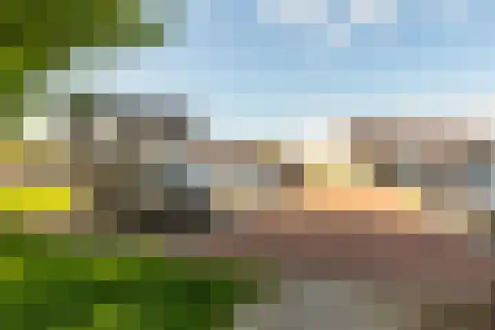 Galjoen 22 13 Lelystad thumbnail 27