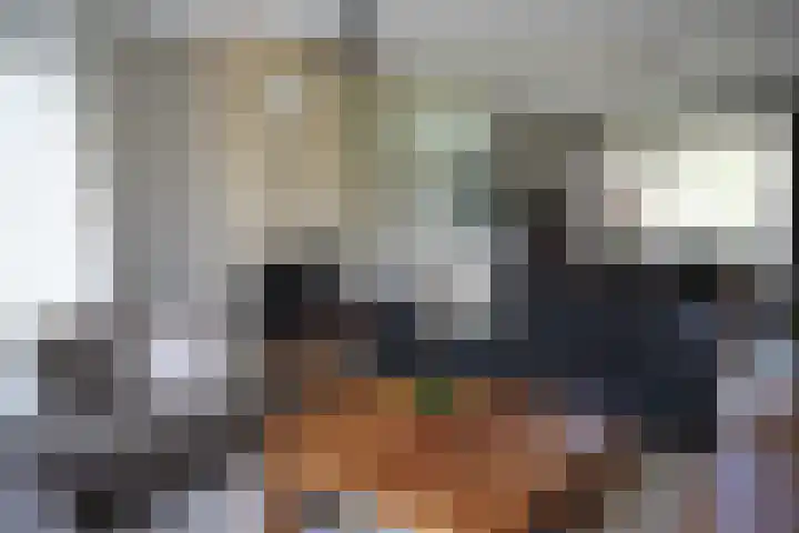 Galjoen 22 Breskens thumbnail 10