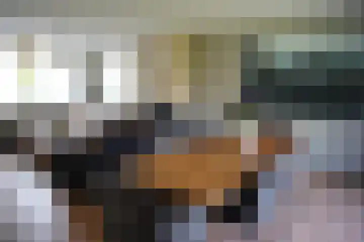 Galjoen 22 Breskens thumbnail 11