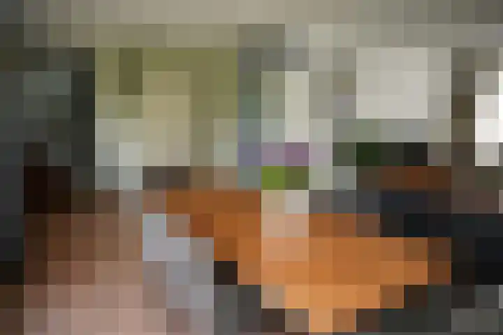 Galjoen 22 Breskens thumbnail 12