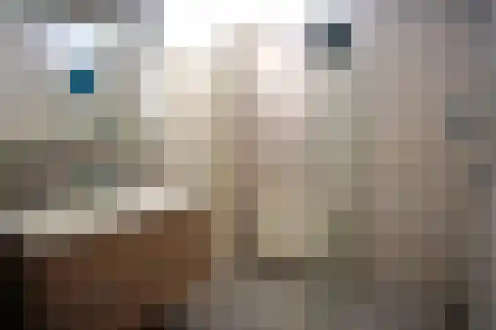 Galjoen 22 Breskens thumbnail 16
