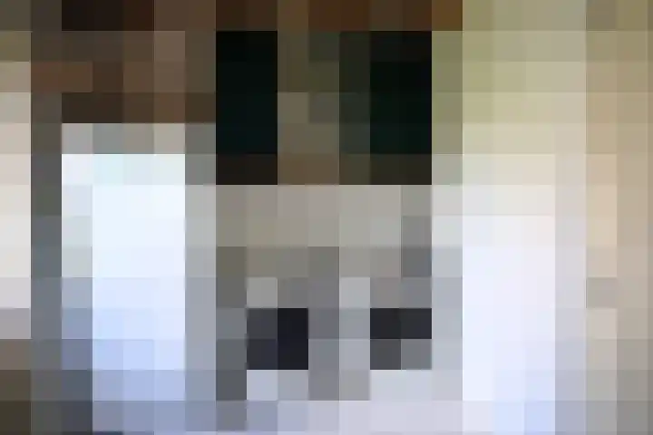 Galjoen 22 Breskens thumbnail 19