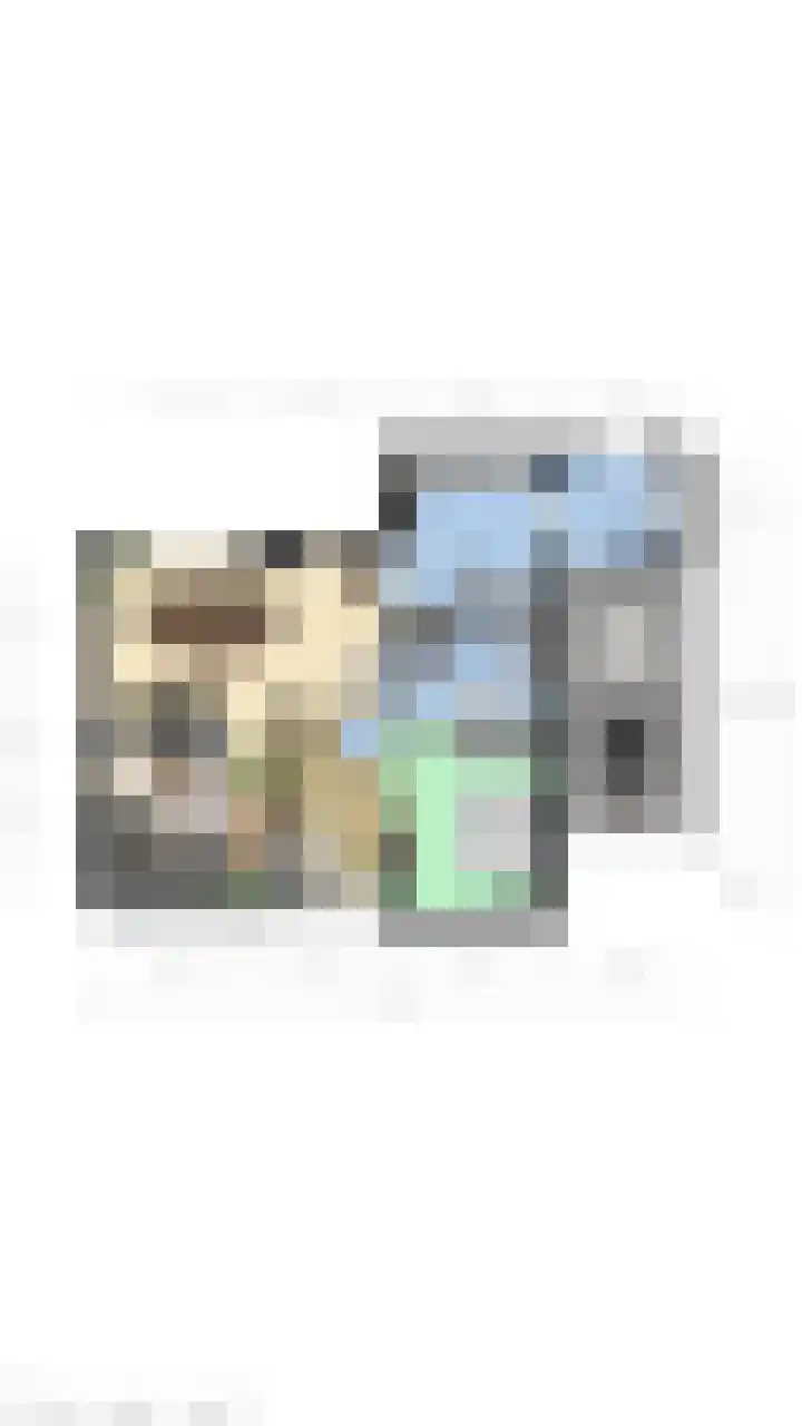 Galjoen 22 Breskens thumbnail 22