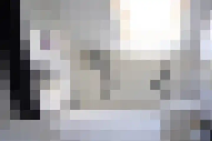 Galjoen 22 Breskens thumbnail 26