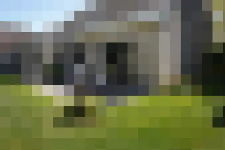 Galjoen 22 Breskens thumbnail 32
