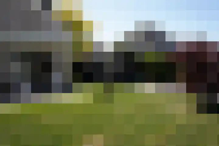 Galjoen 22 Breskens thumbnail 33