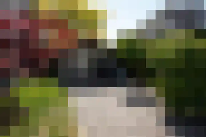 Galjoen 22 Breskens thumbnail 34