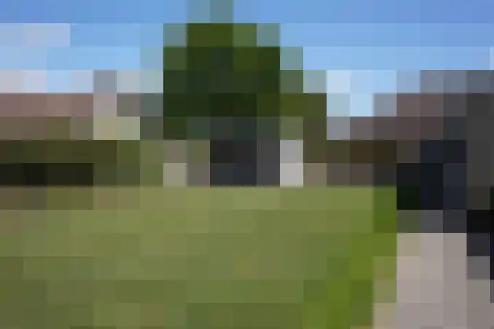 Galjoen 22 Breskens thumbnail 35
