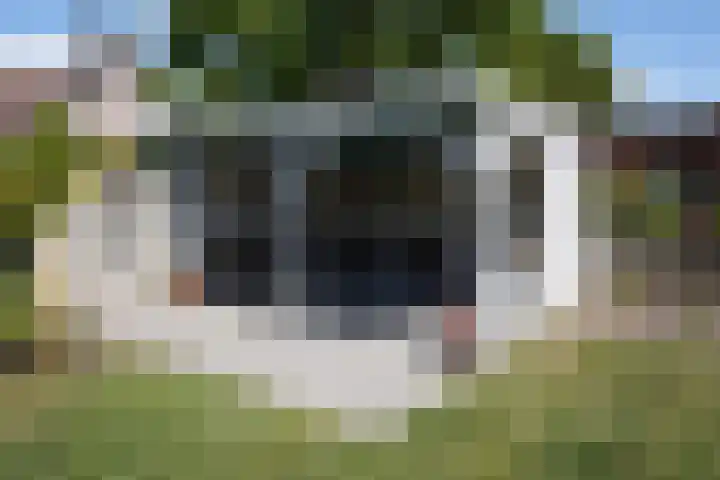 Galjoen 22 Breskens thumbnail 36