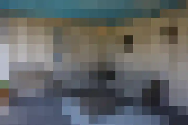 Galjoen 22 Breskens thumbnail 37