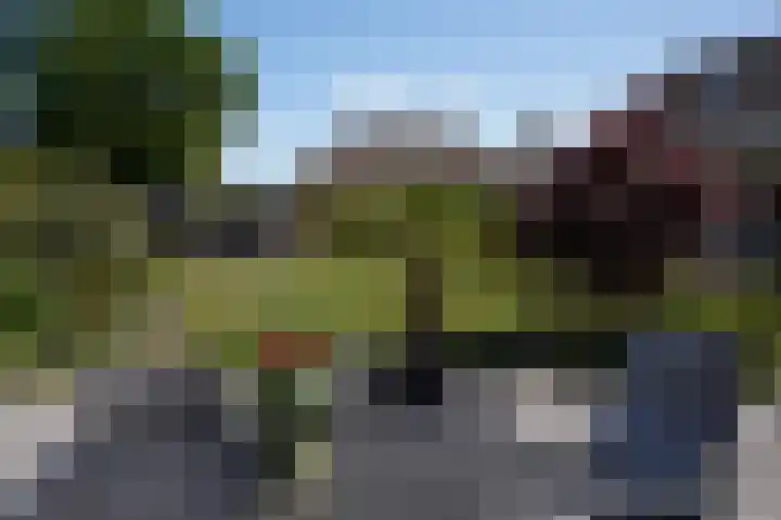 Galjoen 22 Breskens thumbnail 38