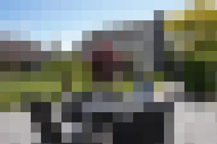 Galjoen 22 Breskens thumbnail 39